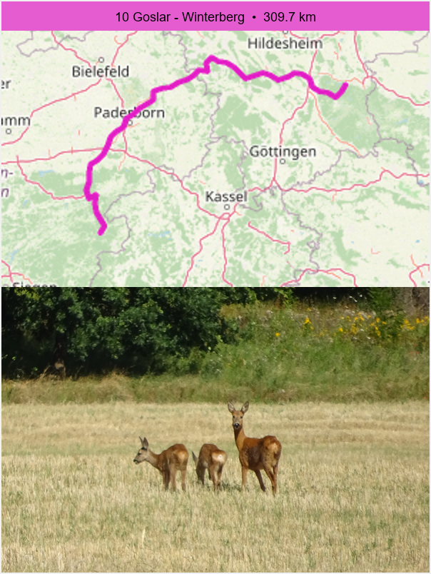 10 Goslar - Winterberg preview